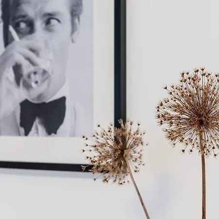 Am - Your Austrian Daire *