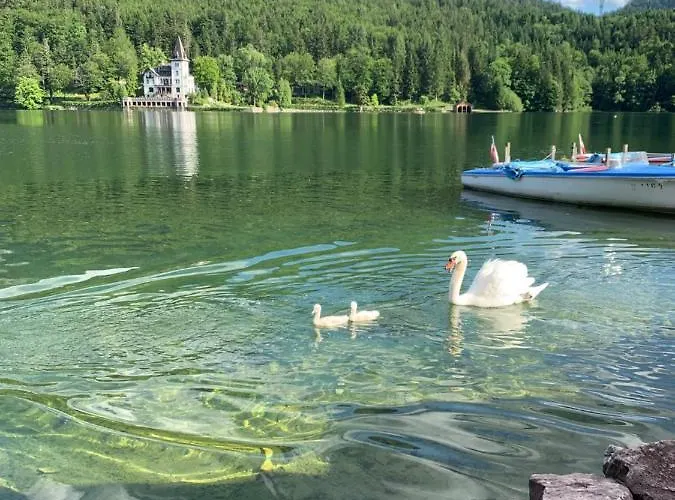 Am - Your Austrian * Grundlsee